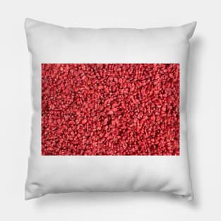 Dried barberries Pillow