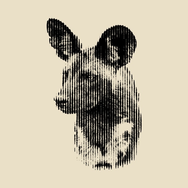 African Wild Dog in Striking Pattern of Black and White Vertical Stripes by scotch