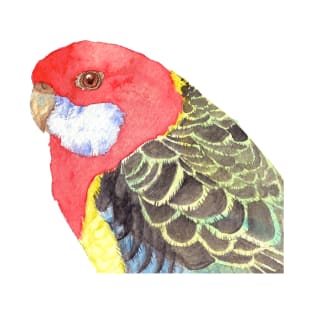 Eastern rosella watercolor - bird portrait painting T-Shirt