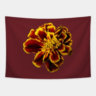 Single French Marigold Tapestry