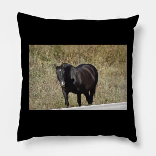 Wild Horse Pillow