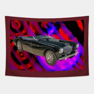 1954 Austin Healy 100-4 BN1 Tapestry