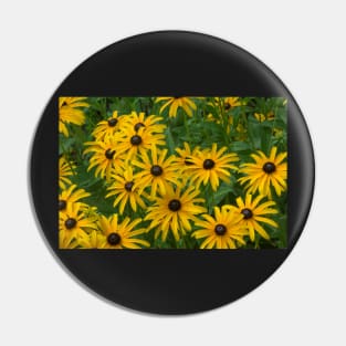 Brown Eye Susans Pin