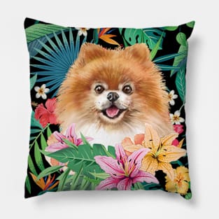 Tropical Pomeranian 4 Pillow