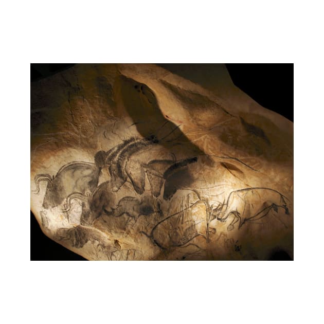 Stone-age cave paintings, Chauvet, France (C009/7644) by SciencePhoto