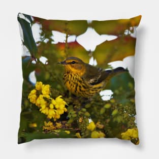 Cape May Warbler with Flowering Mahonia Pillow