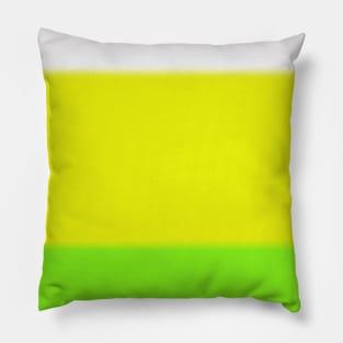 Citrus Ombre Pillow