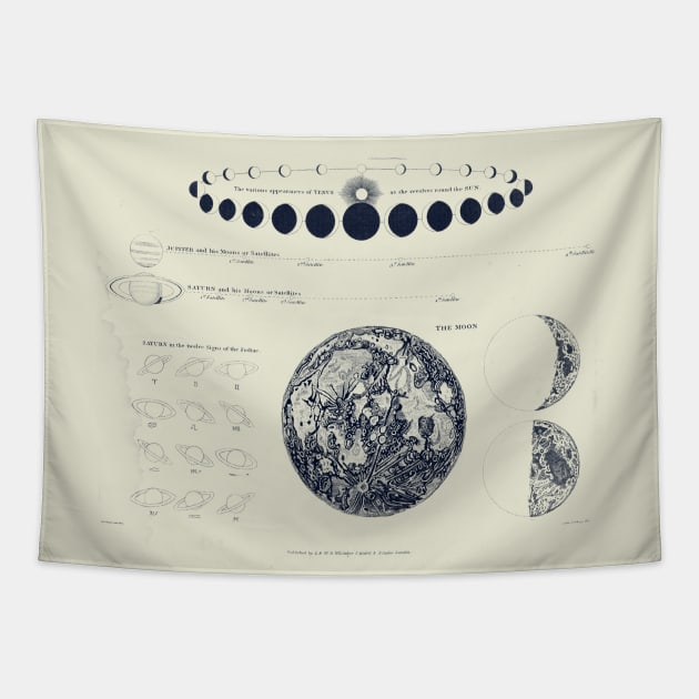 Saturn Venus Moon Astronomy Chart Astronomy Tapestry