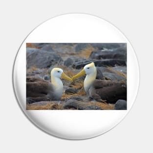 Albatross Love Pin