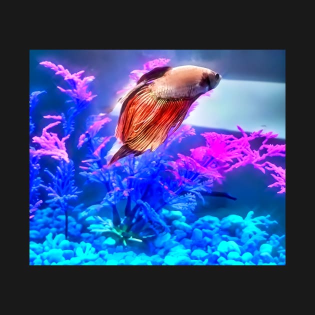 Beautiful Beta Fish by PandLCreations