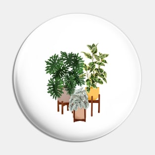 House Plants Illustration 27 Pin