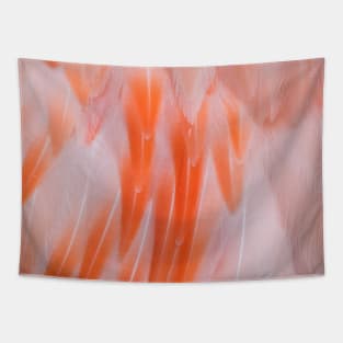 Flamingo Feathers Tapestry