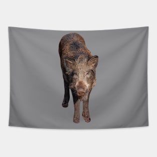 Boar in the forest Tapestry