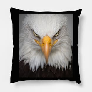 Eagle Pillow