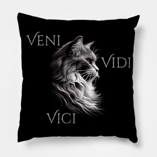 Veni - Vidi - Vici Pillow