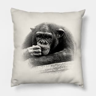 Chimpanzee Pillow