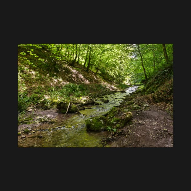 Mountain river flowing through valley by naturalis