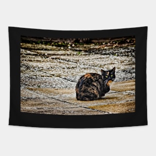 Tortoiseshell Cat Tapestry