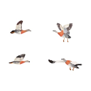 Colored pencil ducks flying stickers T-Shirt