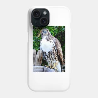 Red Tailed Hawk Phone Case