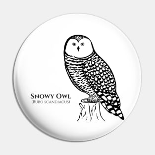 Snowy Owl with Common and Latin Names - hand drawn owl design Pin