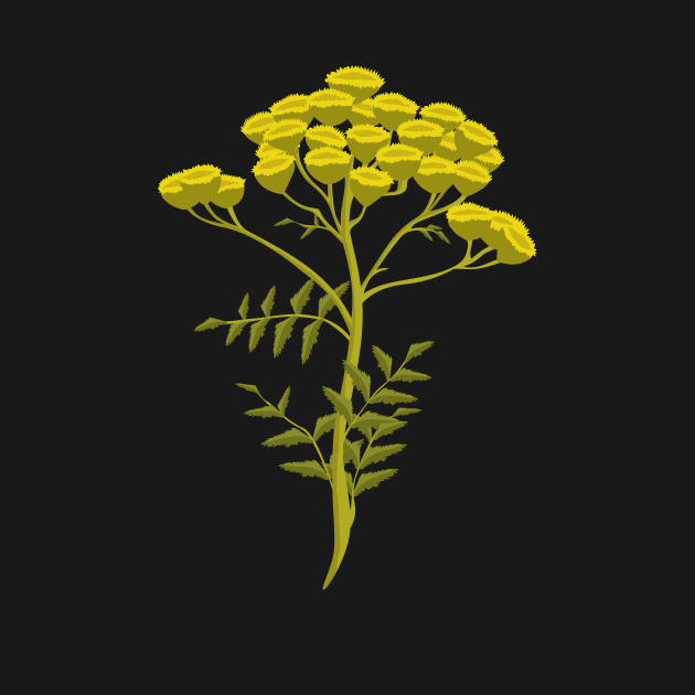 Tansy Flowers - Hand-painted Floral Artwork of the Herb Tansy by Thor