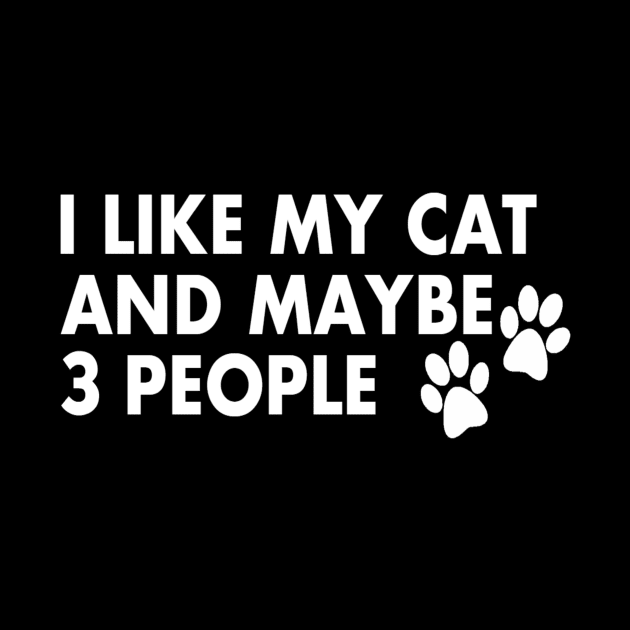 I Love My Cat Shirt I Like My Cat and Maybe 3 People by nedroma1999