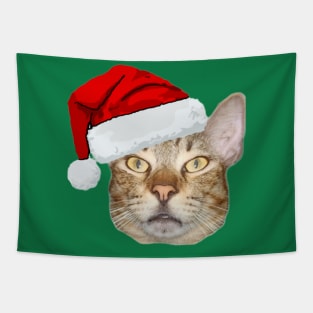 Cute Cat In Red Christmas Hat Tapestry