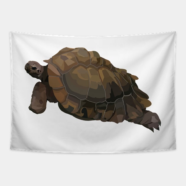 Tortoise Tapestry by jrepkin