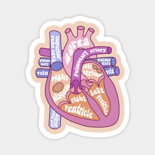 Anatomical heat - human heart Magnet