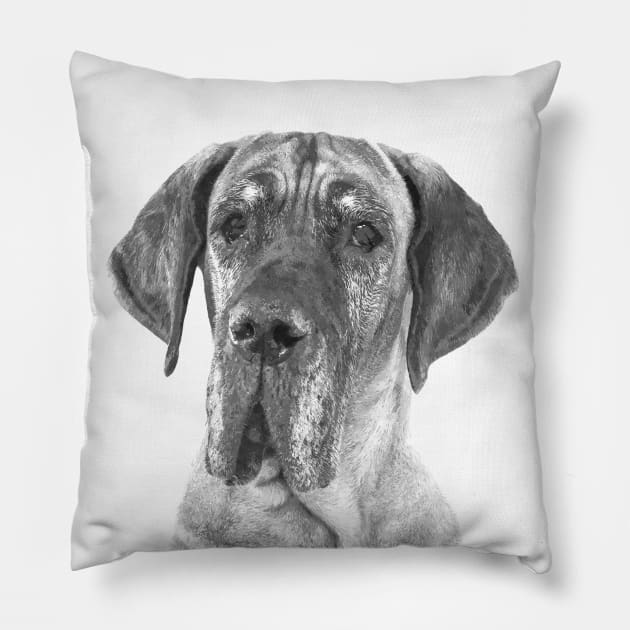 Black and White Great Dane Pillow by Alemi