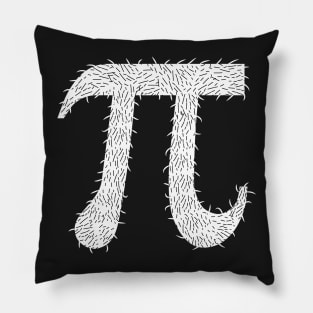 Hair Pi Math Joke T-shirt Pillow