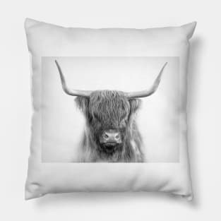 Scottish Highland Cattle Pillow