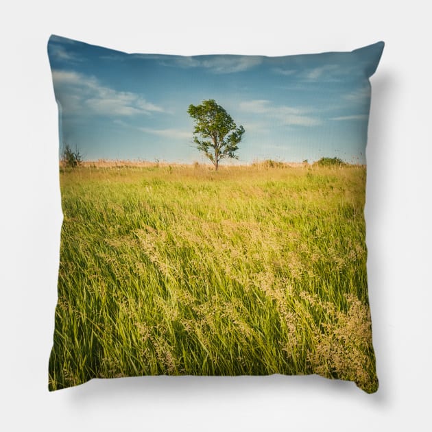 lone tree in the field Pillow by psychoshadow