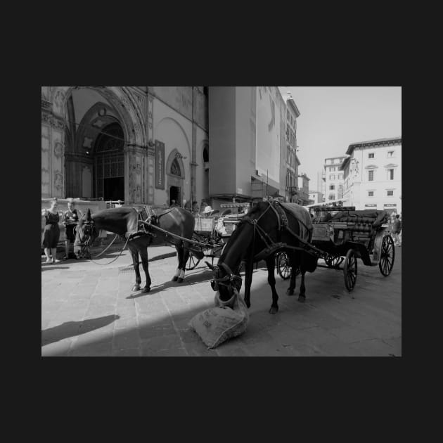 Horses eating hay from hay bale at Cathedral of Florence by fantastic-designs