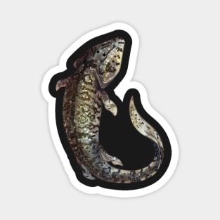 Cozy Tiktaalik Magnet