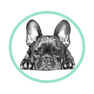 Little Frenchie T-Shirt