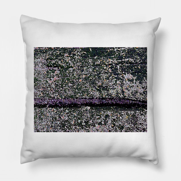 Lavender Slice Pillow by Tovers