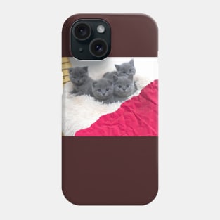 the blue cats gangs Phone Case