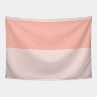 An incredible blend of Fresh Air, Soft Blue, Baby Pink, Misty Rose and Melon stripes. Tapestry