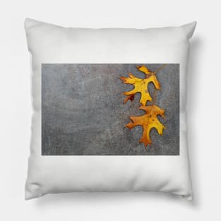 Oak leaves on stone background. Pillow