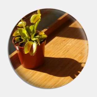 Venus Flytrap on Tray Pin