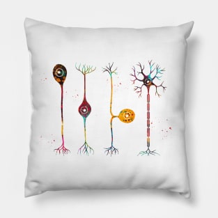 Four types of neurons Pillow