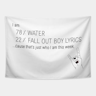 78% Fall Out Boy Lyrics Tapestry