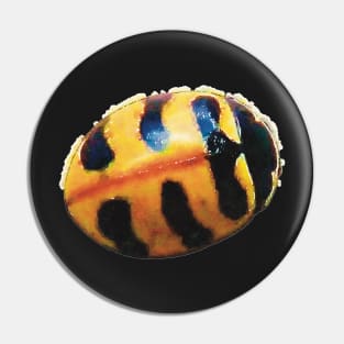 Three-banded Ladybug Pin