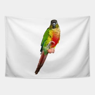 Conure Parrot Bird design | Green cheek | Love for birds Tapestry