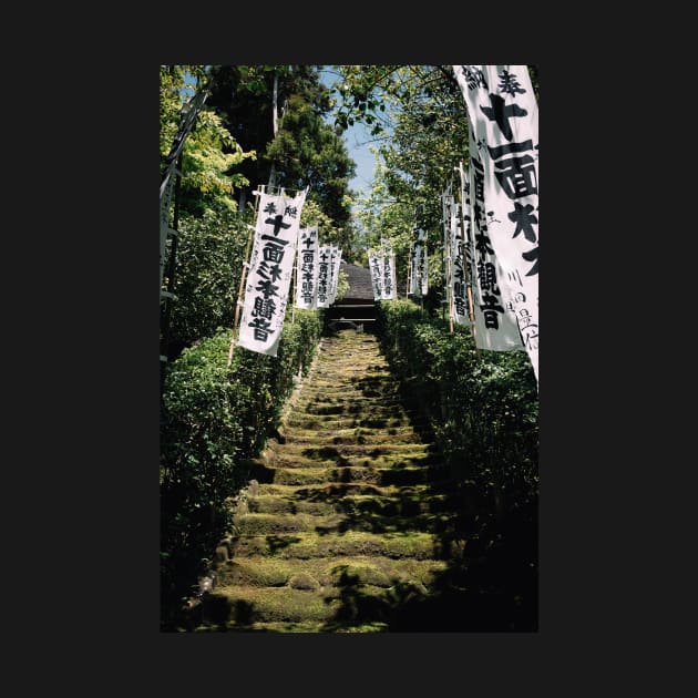 Kamakura path by opticpixil