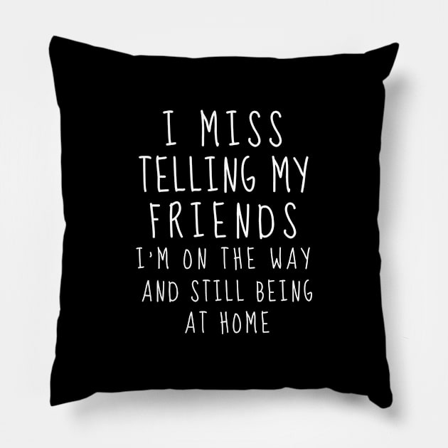 Funny Cute Introvert Joke Quarantine 2020 Social Distancing Meme Introvert Anxiety Stay Home Virus Cute Pandemic Cute Gift Sarcastic Happy Inspirational Motivational Birthday Present Pillow by EpsilonEridani