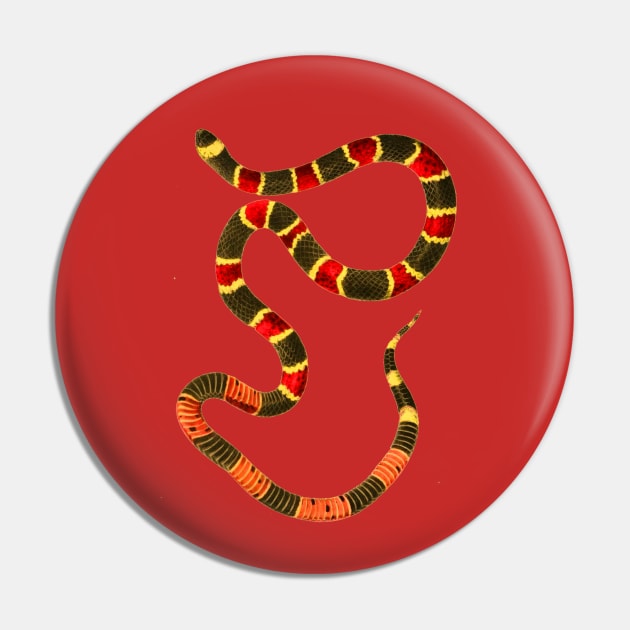 serpent,cobra,reptile,viper,venom,lizard,rattlesnake,king cobra,dragon,hydra,poison,venomous,plumber's snake,pythonidae,pythons,auger,python,squamata,serpentine,worm,big,ophidian,rattlesnakes,medusa,snakebite Pin by vabontchi