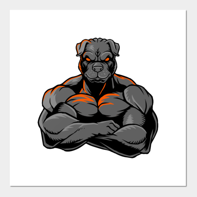 strong muscular pitbull
